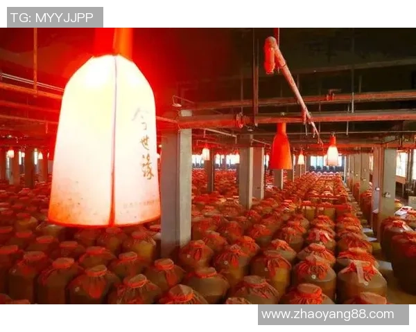 南京头排苏酒巅峰对阵引爆江南酒坛风云再掀品质新篇章